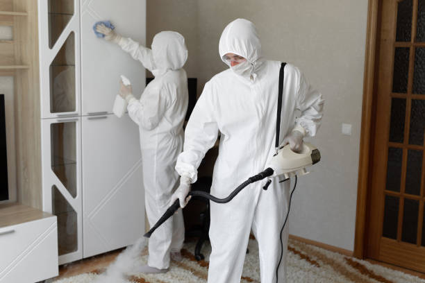 Best Residential Mold Removal  in Seville, OH