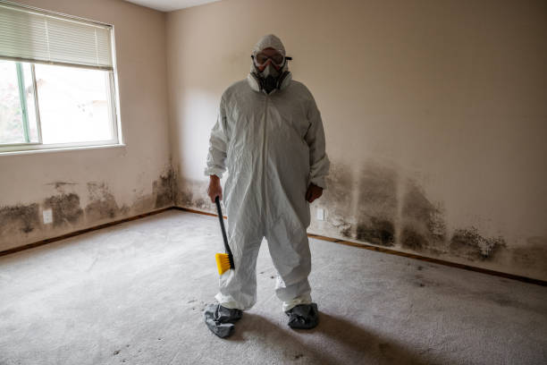 Water Damage Restoration in Seville, OH
