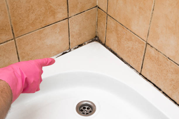 Best Mold Removal Process  in Seville, OH